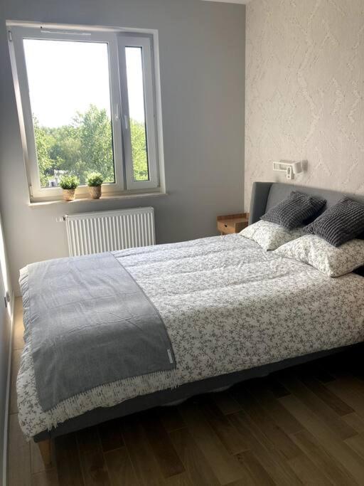 Sloneczny Apartament Z Garazem Przy Parku Kosciuszki Катовице Экстерьер фото