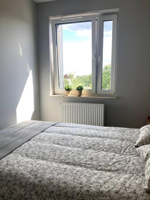 Sloneczny Apartament Z Garazem Przy Parku Kosciuszki Катовице Экстерьер фото